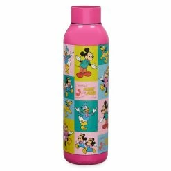 Disney Mickey Mouse And Friends Stainless Steel Water Bottle