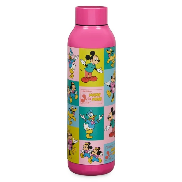 Disney Mickey Mouse And Friends Stainless Steel Water Bottle 3 Disney Mickey Mouse And Friends Stainless Steel Water Bottle